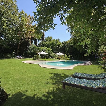 קייפטאון Beluga Of Constantia Guest House מראה חיצוני תמונה