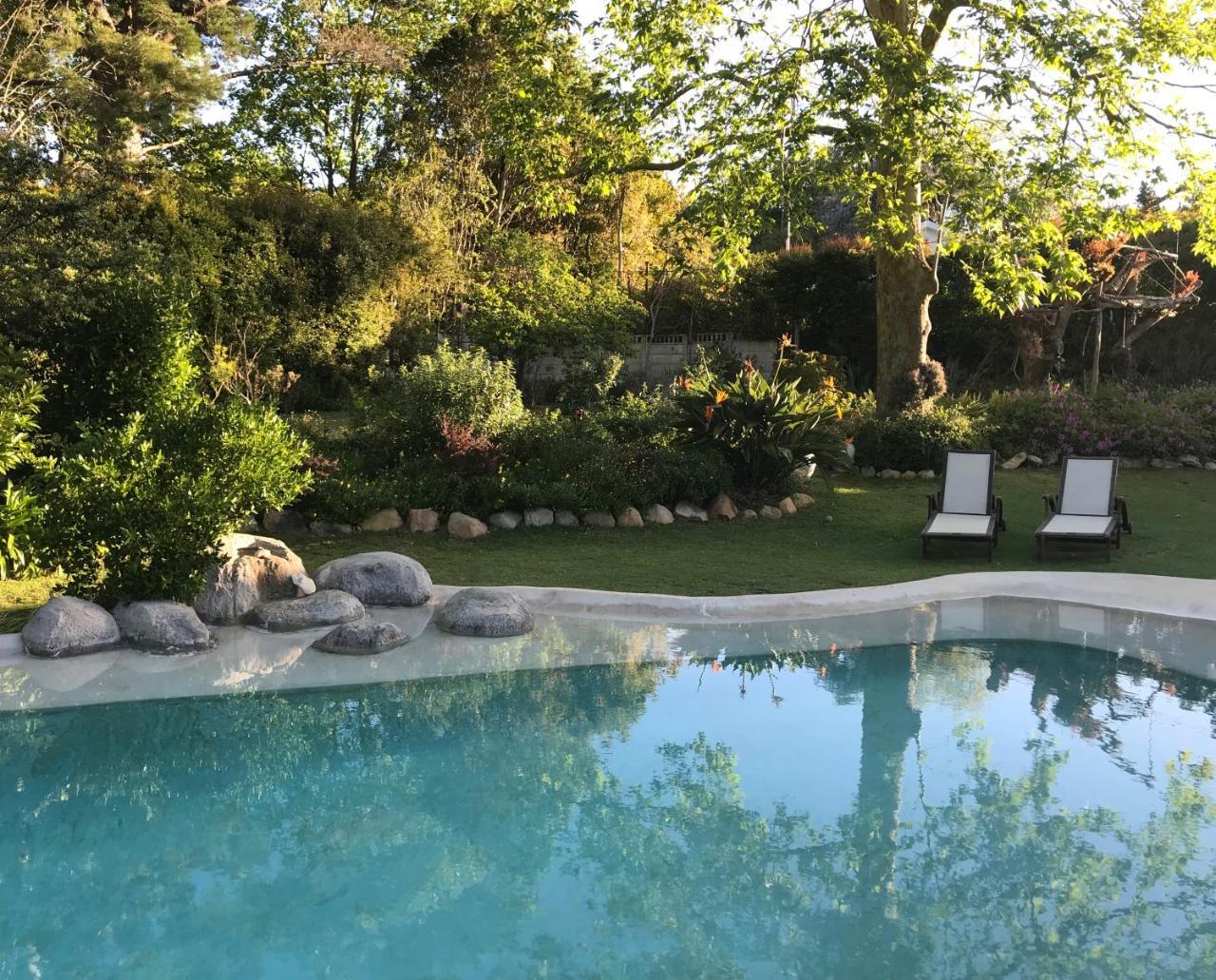 קייפטאון Beluga Of Constantia Guest House מראה חיצוני תמונה
