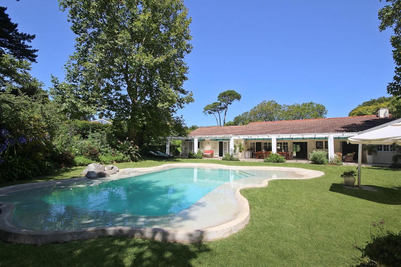 קייפטאון Beluga Of Constantia Guest House מראה חיצוני תמונה