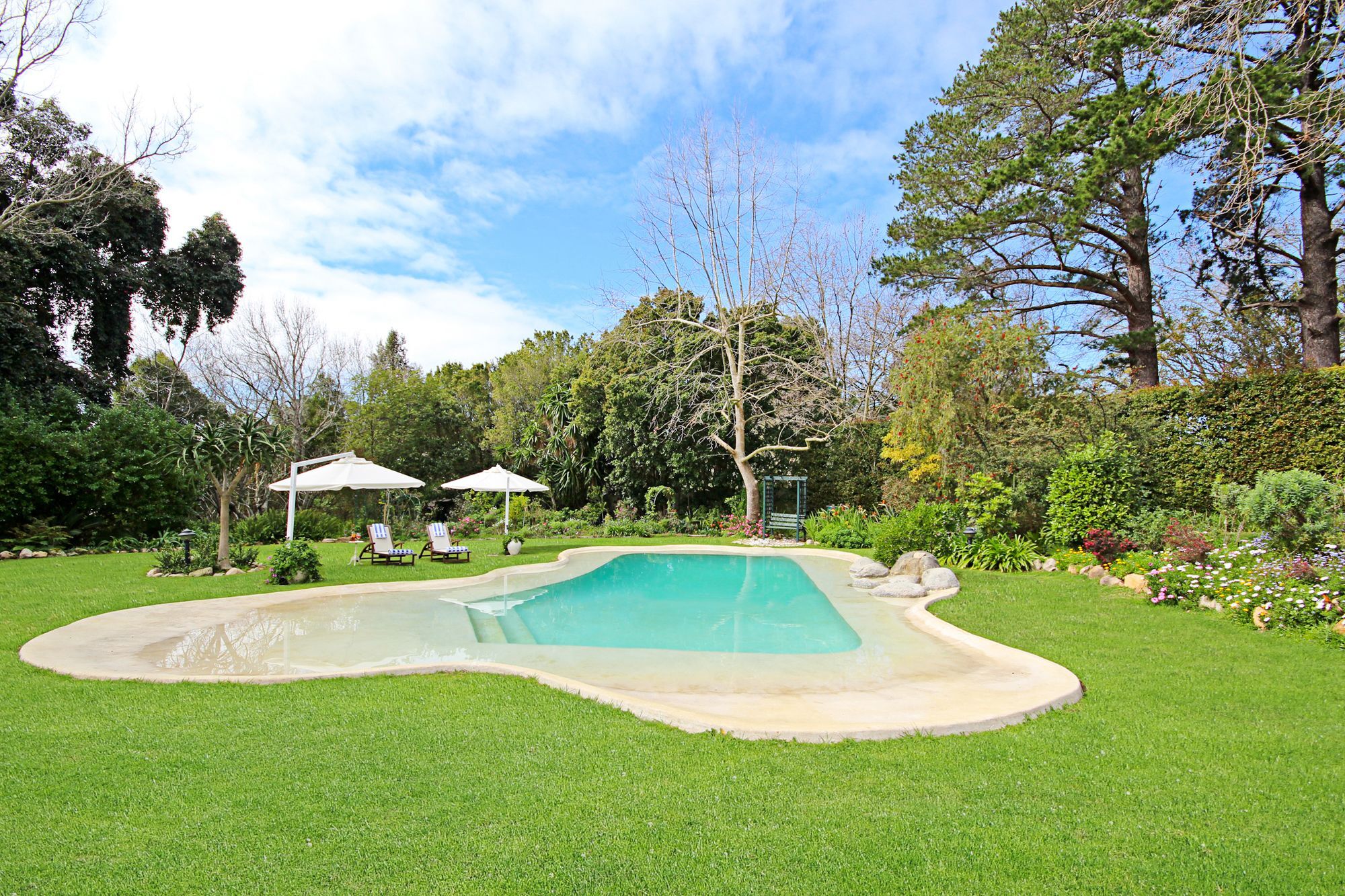 קייפטאון Beluga Of Constantia Guest House מראה חיצוני תמונה