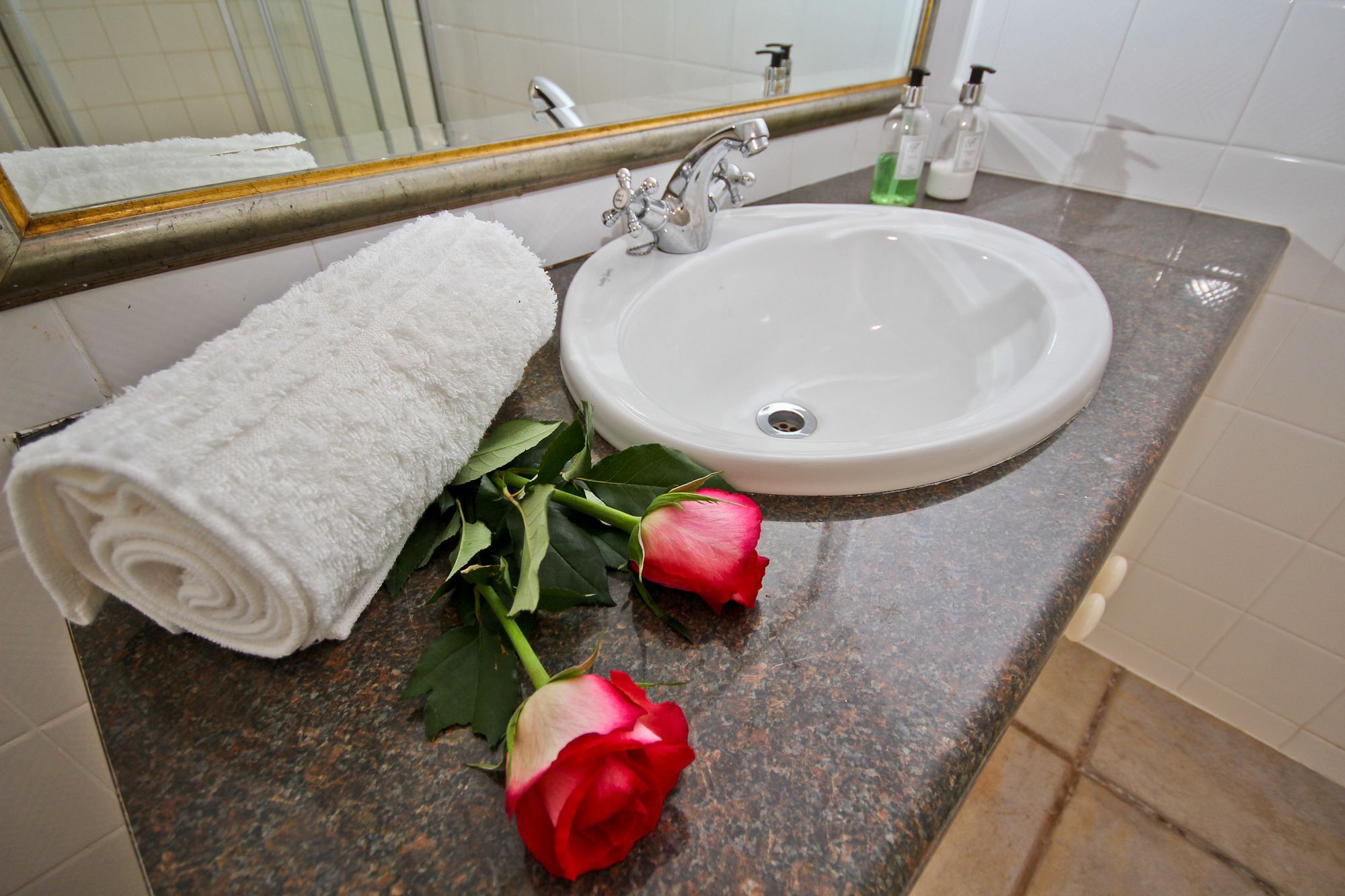 קייפטאון Beluga Of Constantia Guest House מראה חיצוני תמונה