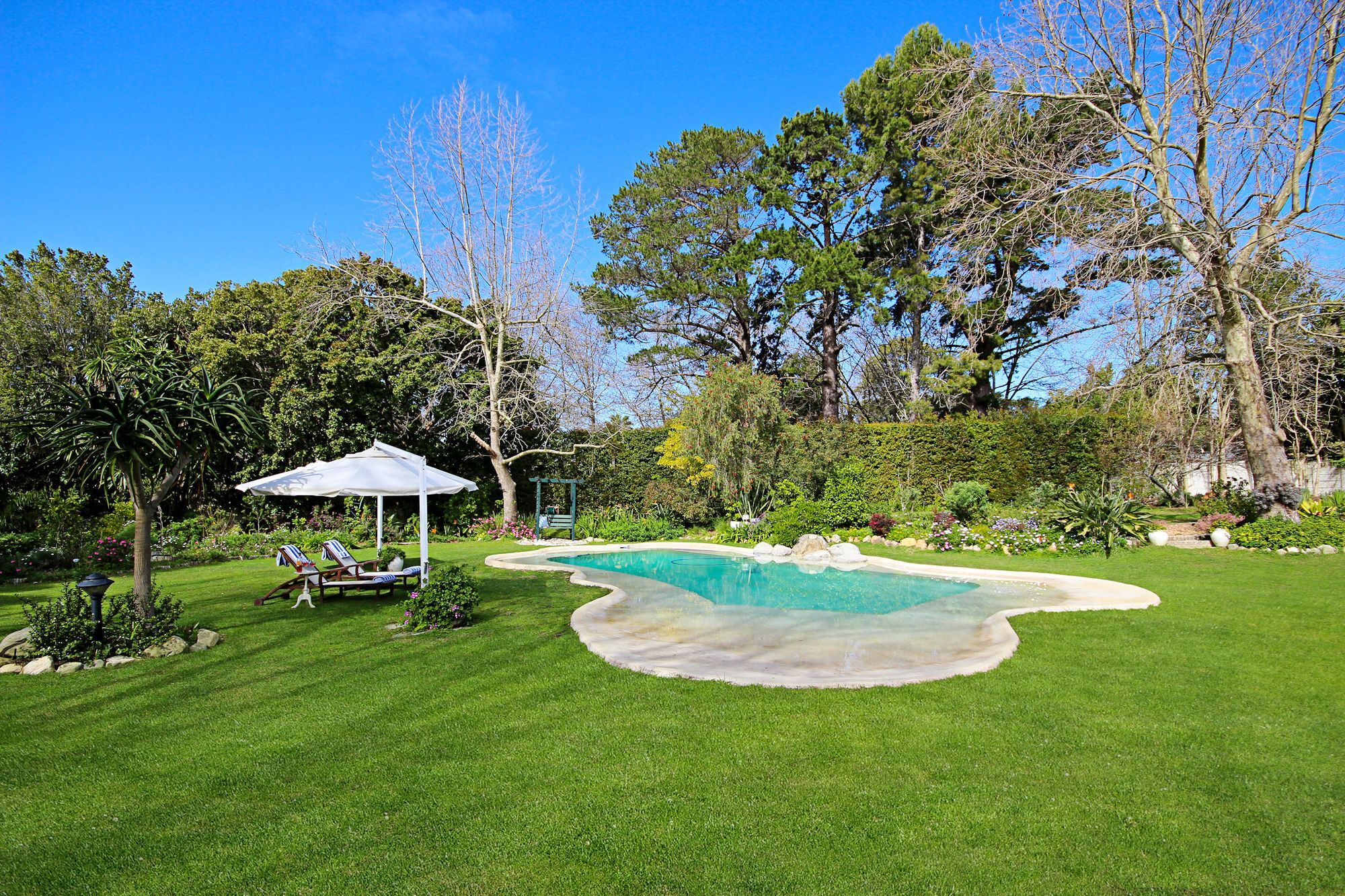 קייפטאון Beluga Of Constantia Guest House מראה חיצוני תמונה